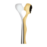 Abbraccio 2 Piece Salad Servers silver / gold