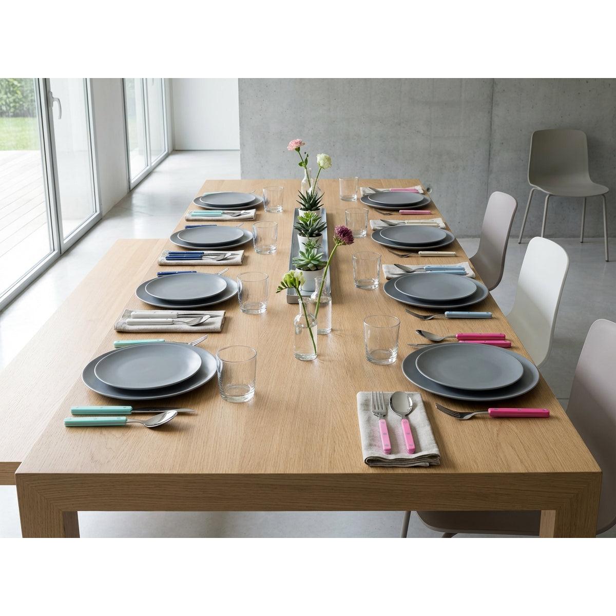 Allegra 5 Piece Place Setting - lotus pink-Casa Bugatti USA