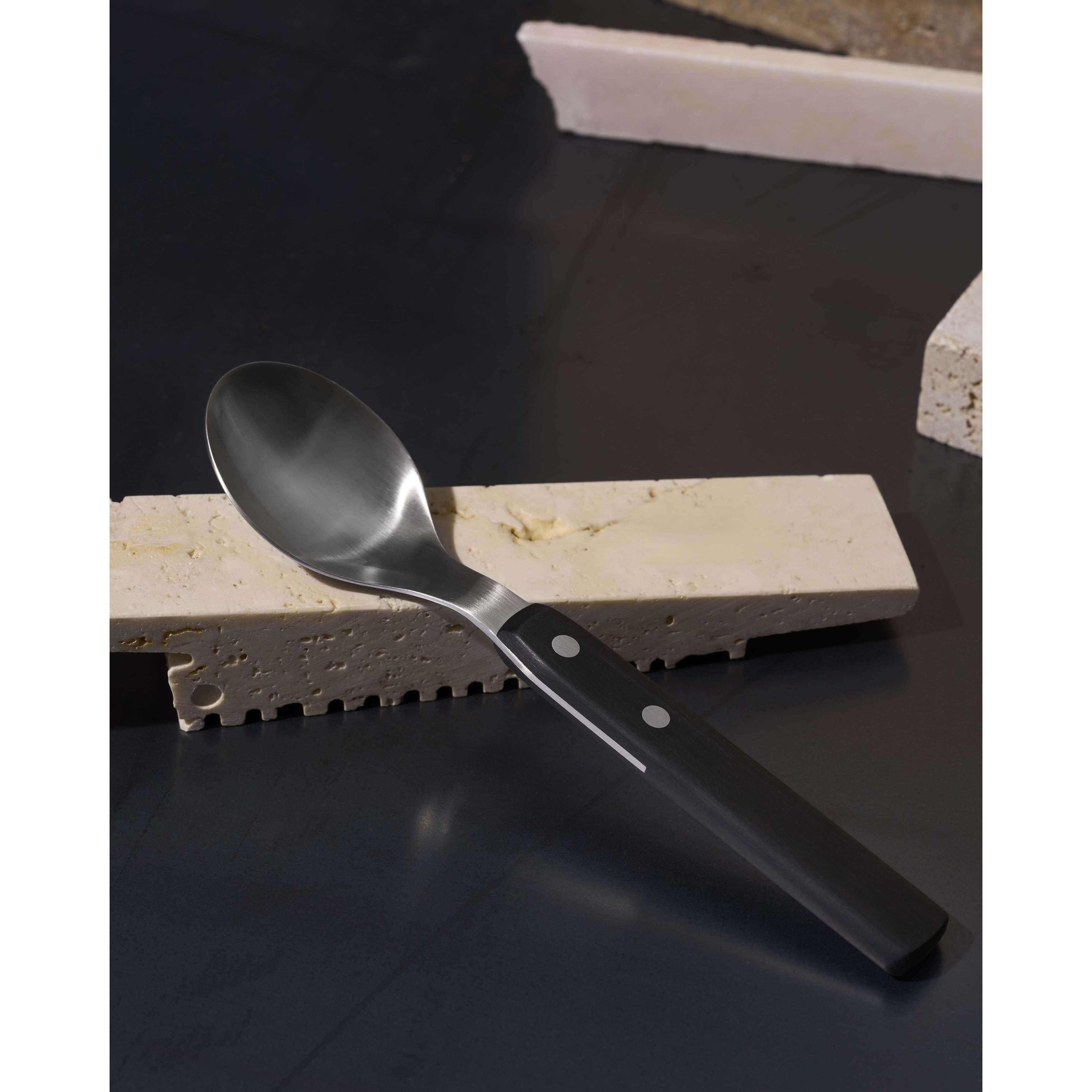 ALPI 6 Piece Coffee Spoon Set - Black-Casa Bugatti USA