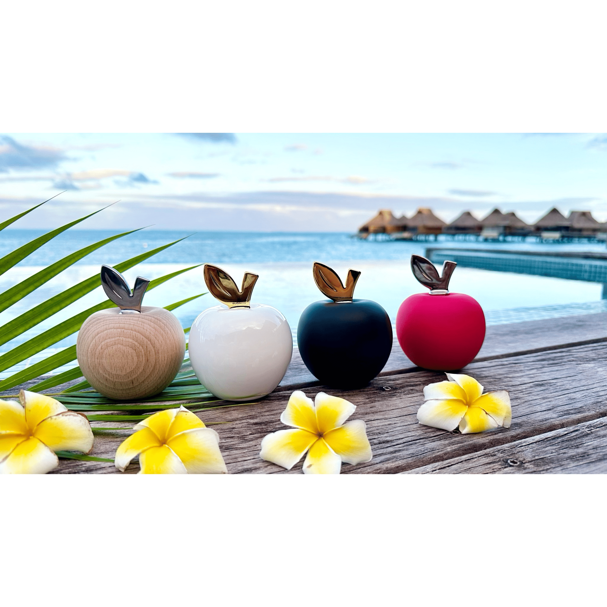 EDEN Nut Cracker black with gold stalk-Casa Bugatti USA