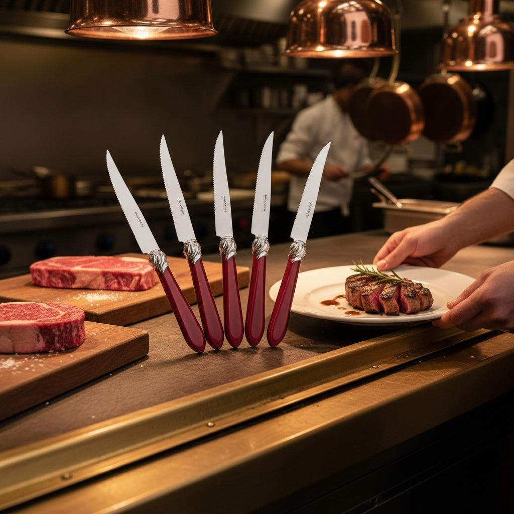 Falabella Brilliant 6 Piece Steak knife Set - Burgundy