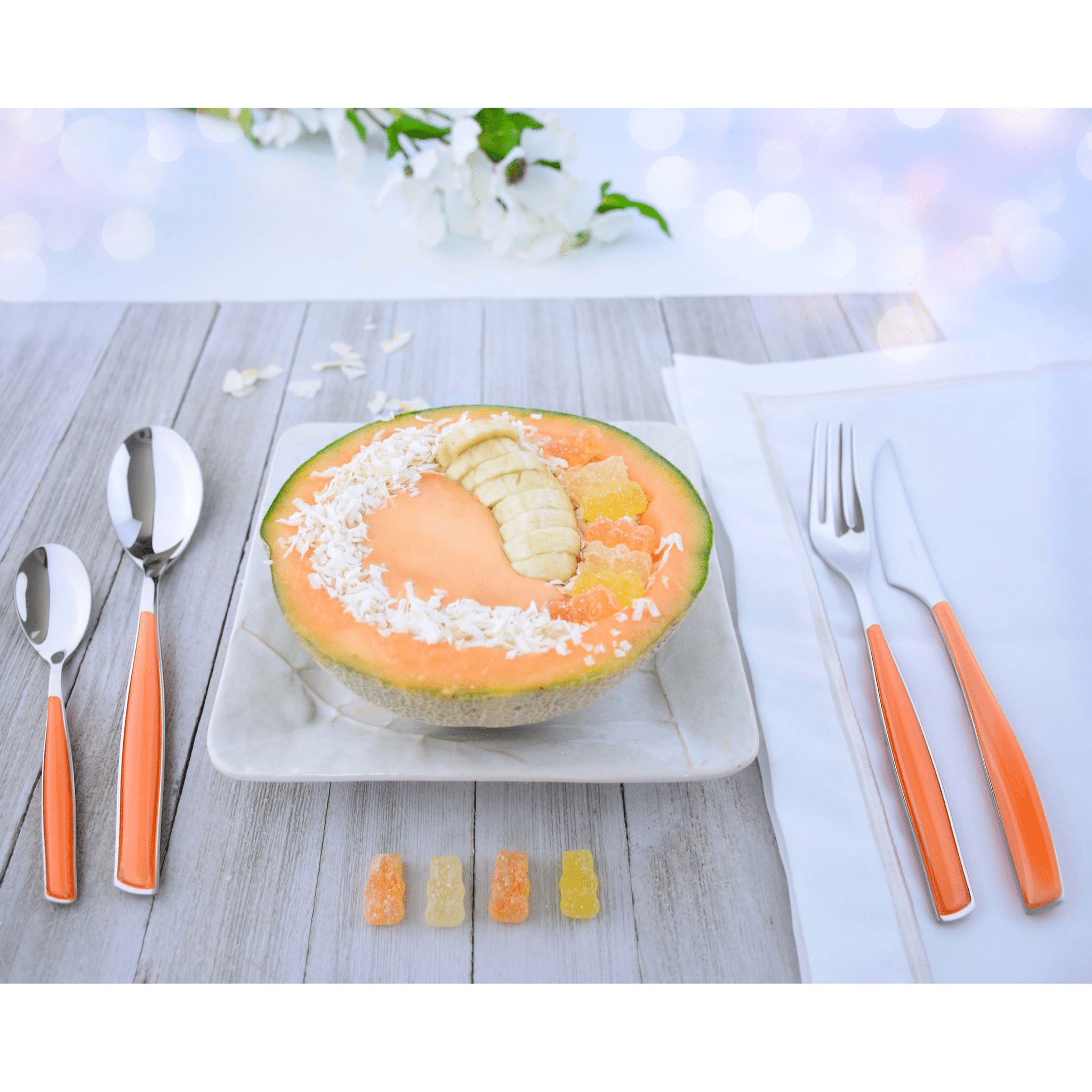 Glamour 5 Piece Place Setting - Melon-Casa Bugatti USA