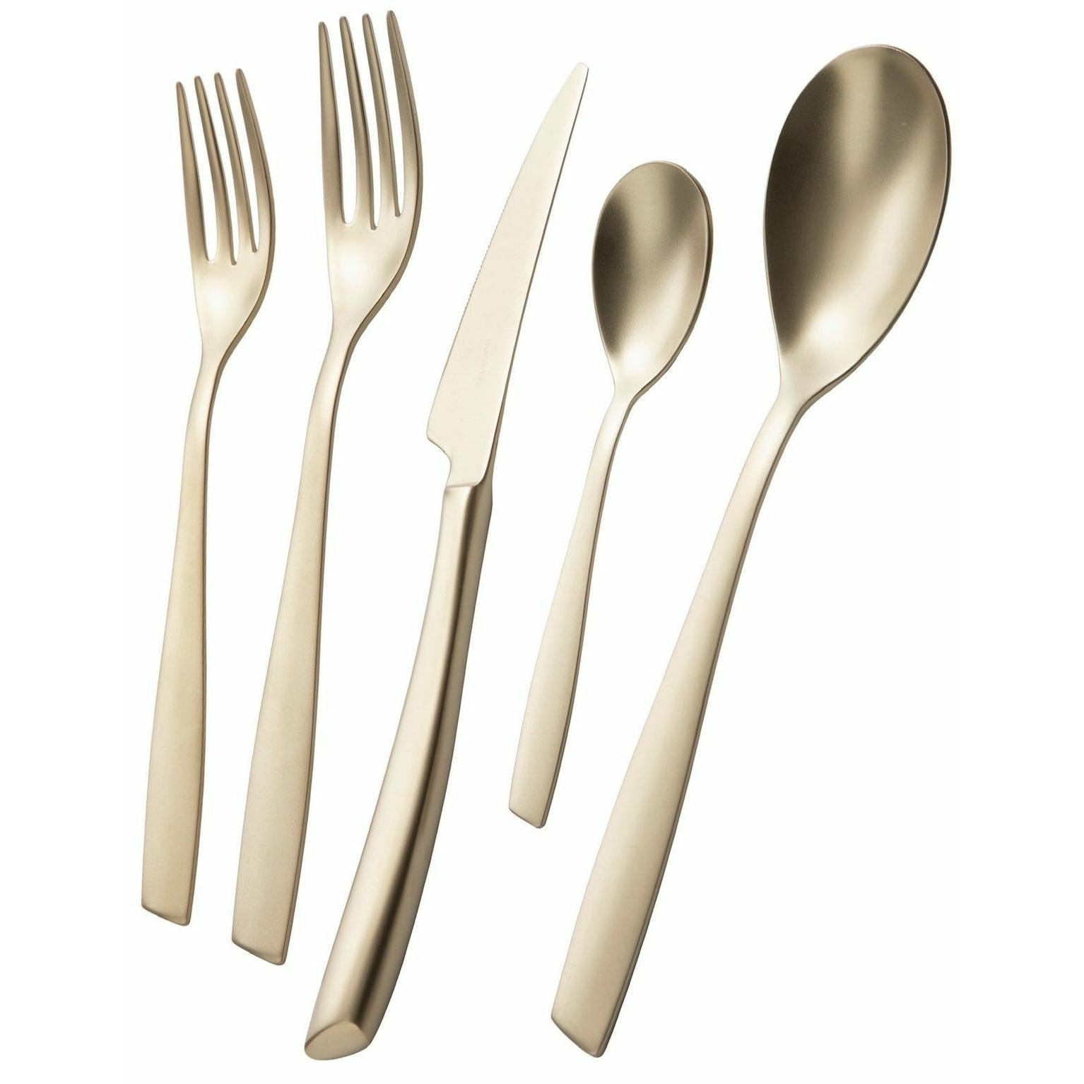 Riviera Champagne Matte 5 Piece Place Setting-Casa Bugatti USA