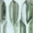 cristallo-green