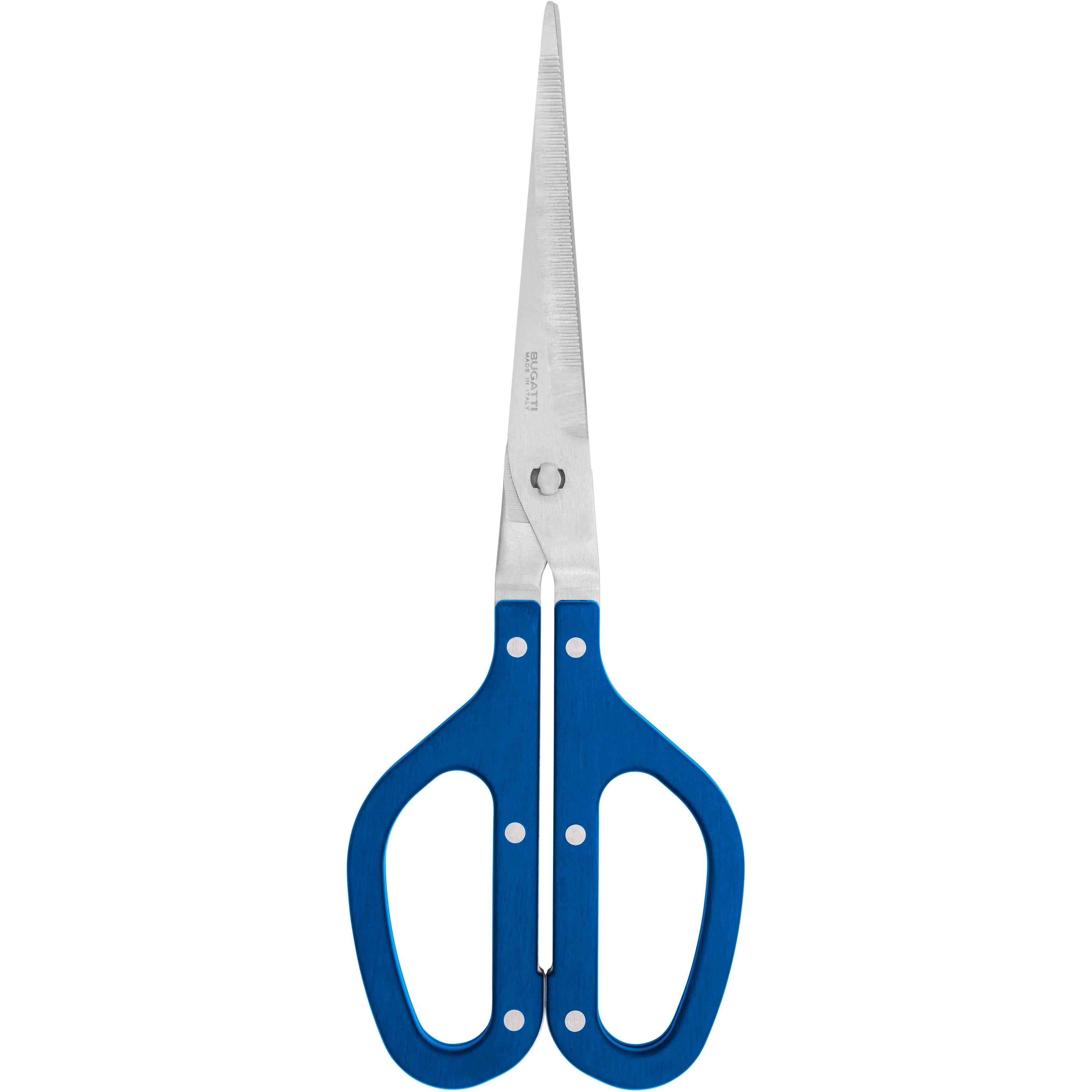 Allegra Scissors - Mid Blue