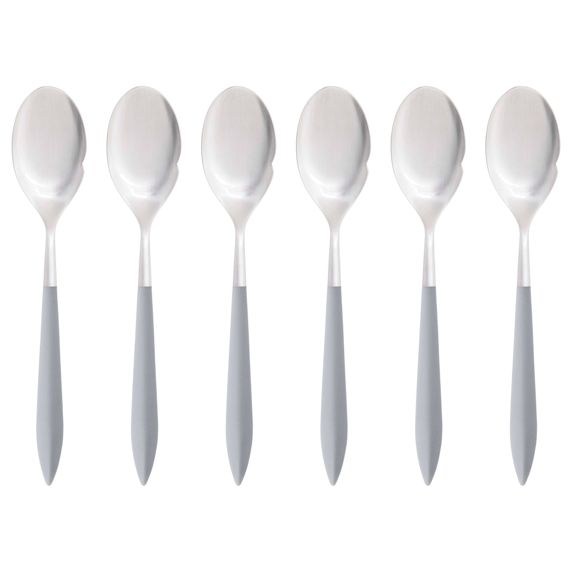 Ares Brushed Gourmet Spoon Set - Gray-Casa Bugatti USA