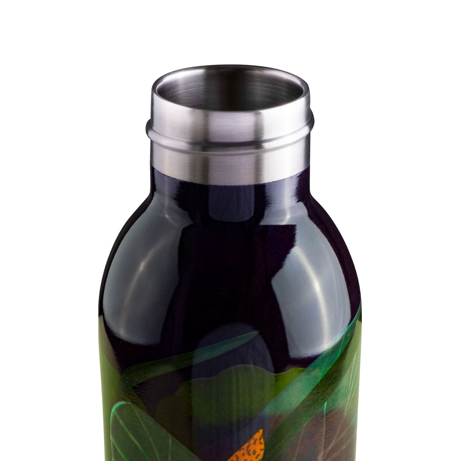 B Bottle  Twin 500 ml / 16.9 fl. oz.  Flora-Casa Bugatti USA