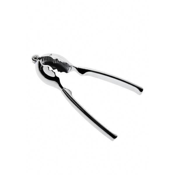 Kiss Nut Cracker chrome-Casa Bugatti USA